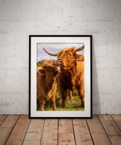 To buy a print or any of the below please click on the images